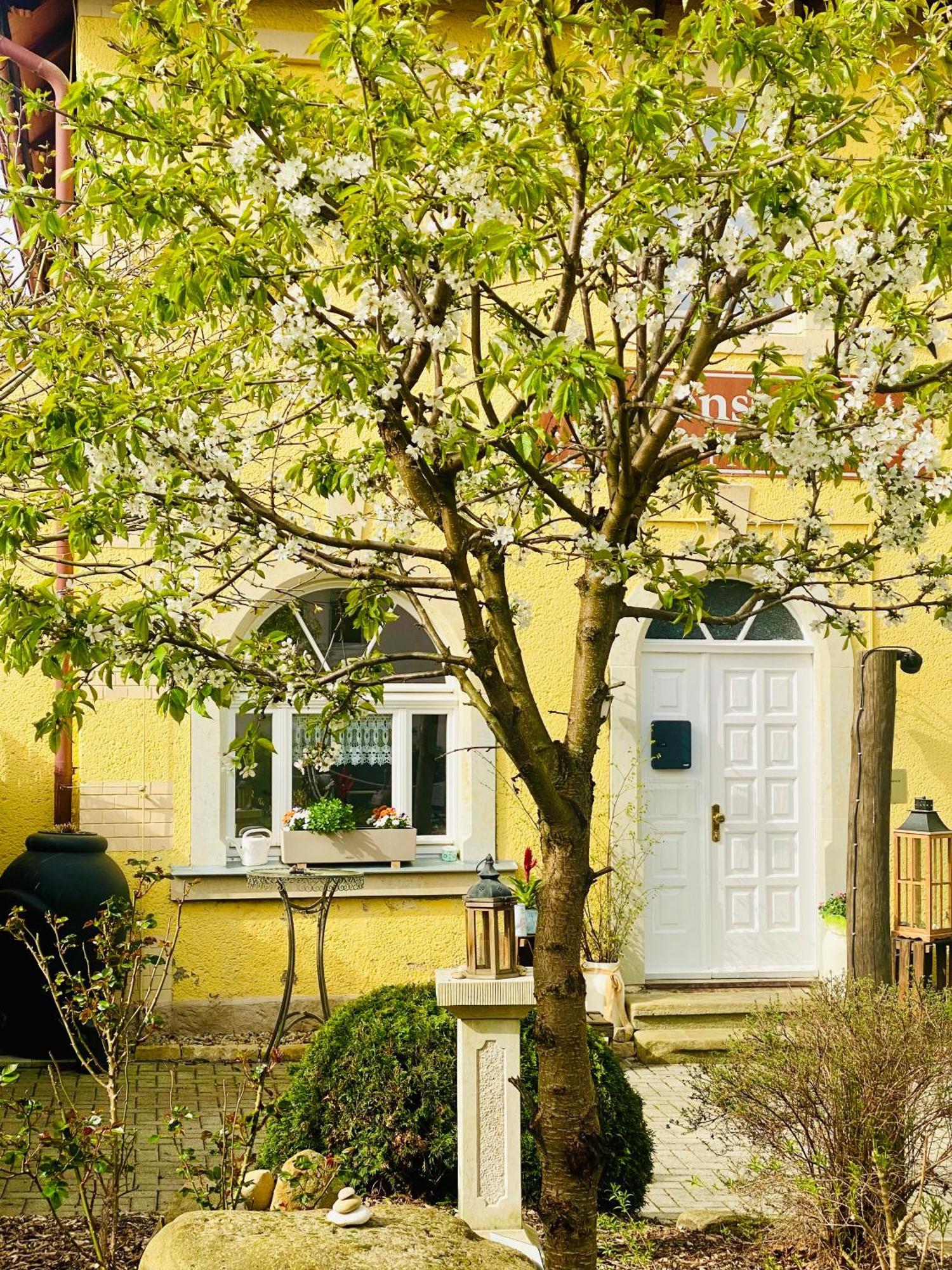 Restaurant Und Pension Zur Puppenstube Stolpen Zewnętrze zdjęcie